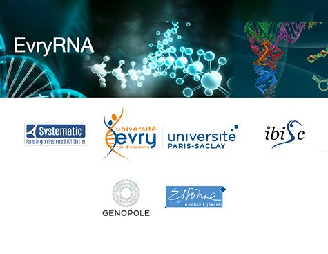 screenshot_EvryRNA